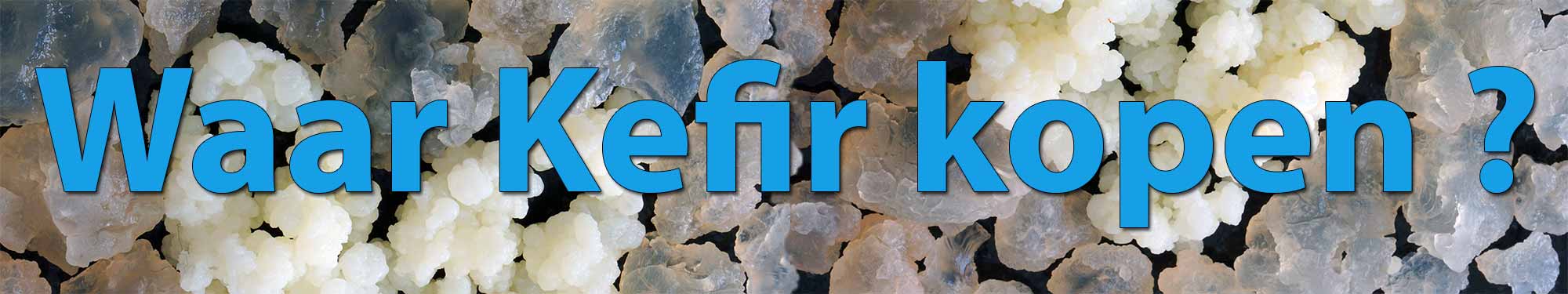 Waar kefir kopen ?