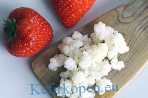 melkkefirbloempjes