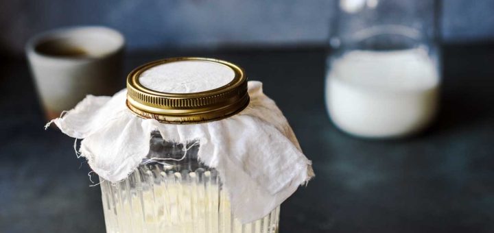 Kefir kopen - Koop echte melkkefir