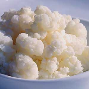 Kefir kopen - Koop echte melkkefir, waterkefir of ferment