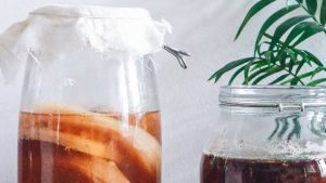 kombucha SCOBY