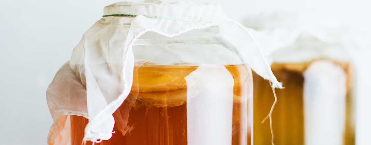 kombucha bestellen