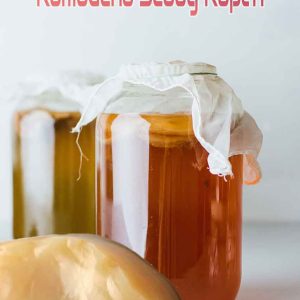 Kombucha zwam kopen met starter